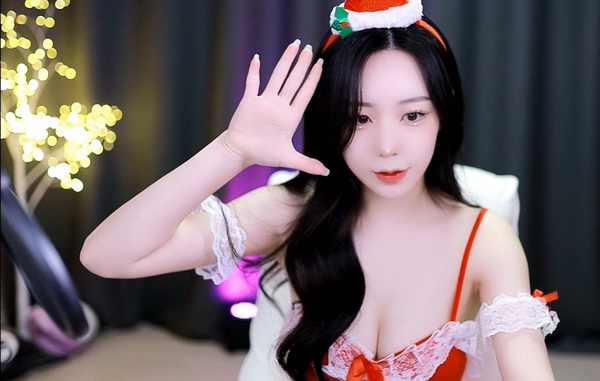 美人收集系统(海棠)初一