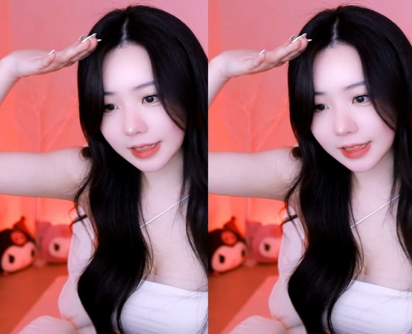 秘密入口mini的安全保护